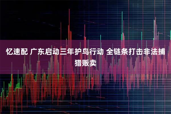 忆速配 广东启动三年护鸟行动 全链条打击非法捕猎贩卖