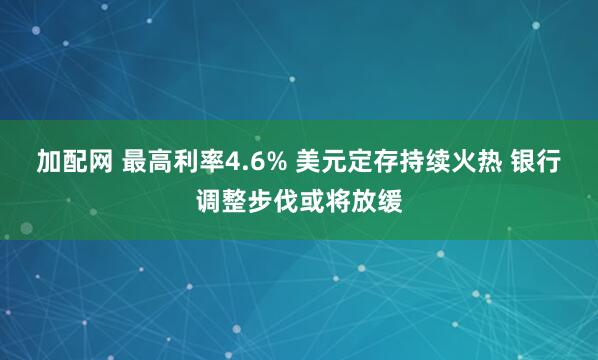 加配网 最高利率4.6% 美元定存持续火热 银行调整步伐或将放缓