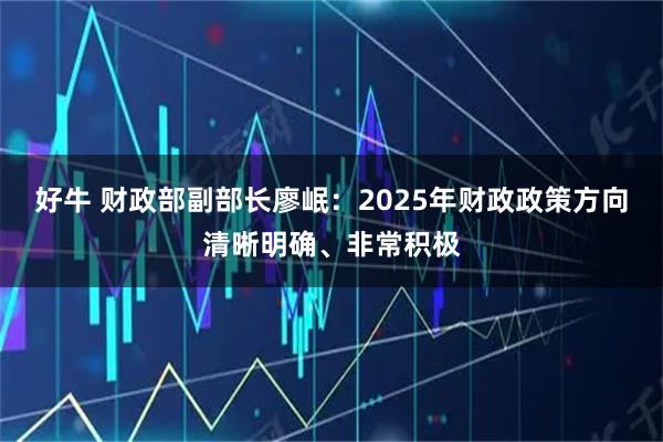 好牛 财政部副部长廖岷：2025年财政政策方向清晰明确、非常积极