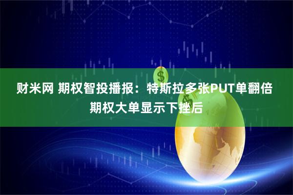 财米网 期权智投播报：特斯拉多张PUT单翻倍 期权大单显示下挫后
