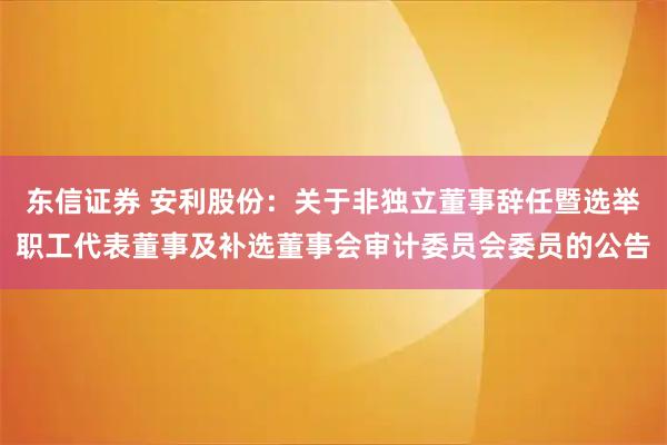 东信证券 安利股份：关于非独立董事辞任暨选举职工代表董事及补选董事会审计委员会委员的公告