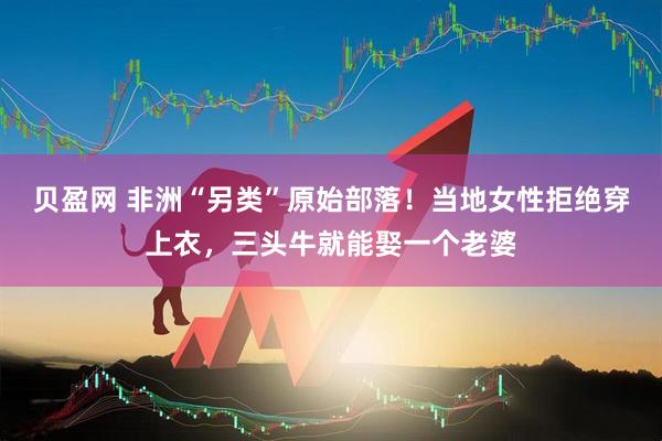 贝盈网 非洲“另类”原始部落！当地女性拒绝穿上衣，三头牛就能娶一个老婆