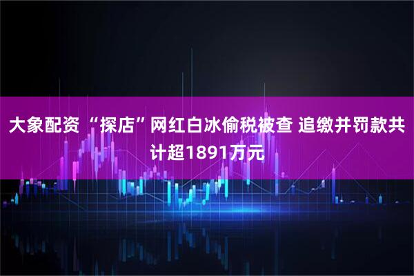 大象配资 “探店”网红白冰偷税被查 追缴并罚款共计超1891万元