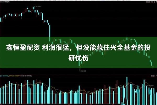 鑫恒盈配资 利润很猛，但没能藏住兴全基金的投研忧伤
